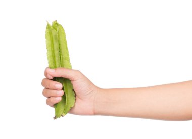 Beyaz arka planda el ele tutuşan kanatlı fasulye.