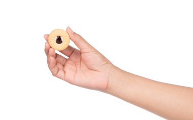 Beyaz arka planda yaban mersinli bisküvi tutan el..