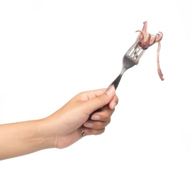 Beyaz arka planda izole edilmiş ızgara kalamar.