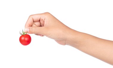 El ele tutuşan taze domates beyaz arka planda izole edilmiş.