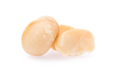 Macadamia fındığı beyaz arkaplanda izole edildi.