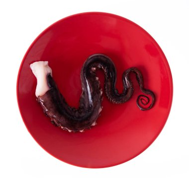 Ahtapot - ahtapot dokunaçları beyaz arkaplanda izole bir çanak üzerinde