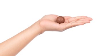 Beyaz arka planda el ele tutuşan Macadamia cevizi.