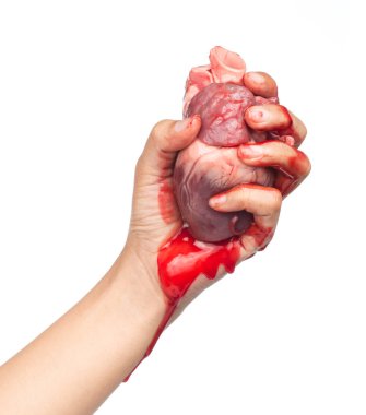 El ele tutuşan saf kalp beyaz arka planda izole edilmiş.