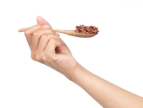 Hand Holding Jasmine Brown Rice Wooden Spoon Isolated White Background — Stock Photo, Image