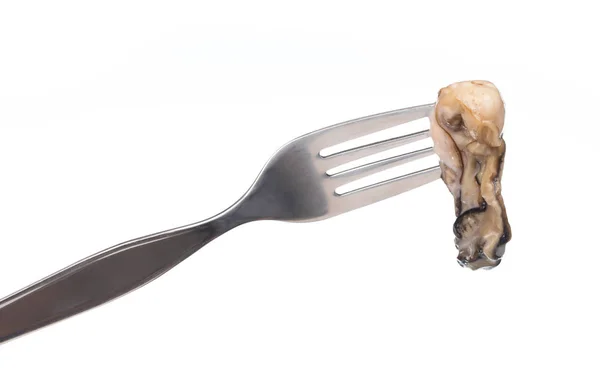 Eine Gabel Mit Frischen Austern Isoliert Auf Weißem Hintergrund — Stockfoto