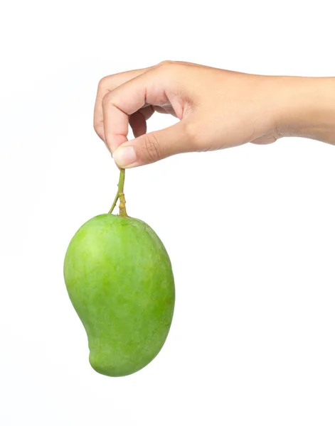 Mão Segurando Frutas Manga Verde Isolado Fundo Branco — Fotografia de Stock