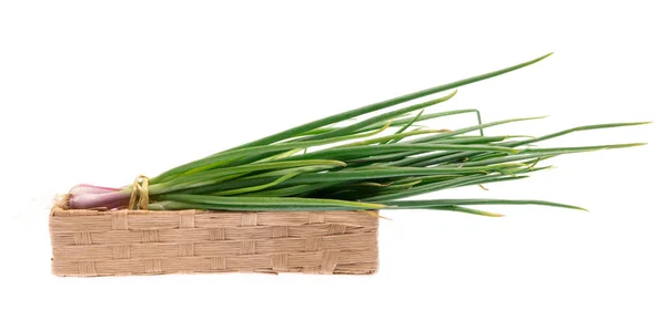 Bamboe Mand Van Voorjaar Geïsoleerd Witte Achtergrond — Stockfoto