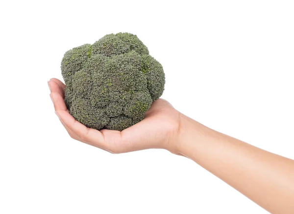Tangan Memegang Broccoli Terisolasi Pada Latar Belakang Putih — Stok Foto