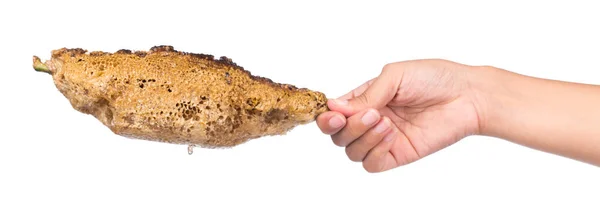 Mano Sosteniendo Panales Aislados Sobre Fondo Blanco — Foto de Stock