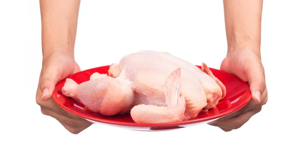 Ręka Gospodarstwa Surowy Kurczak Czerwonym Talerzu Izolowane Białym Tle — Zdjęcie stockowe