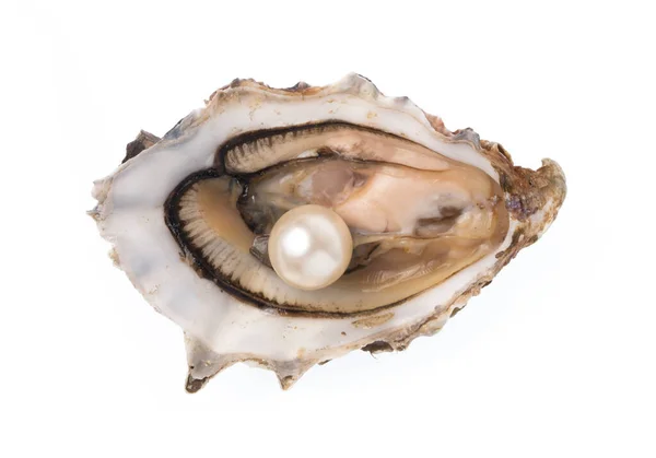 打开牡蛎珍珠孤立在白色的背景 — 图库照片