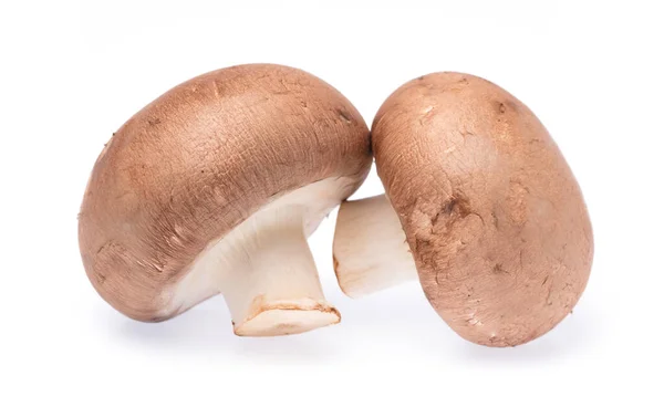 Champignon Champiñón Aislado Sobre Fondo Blanco —  Fotos de Stock