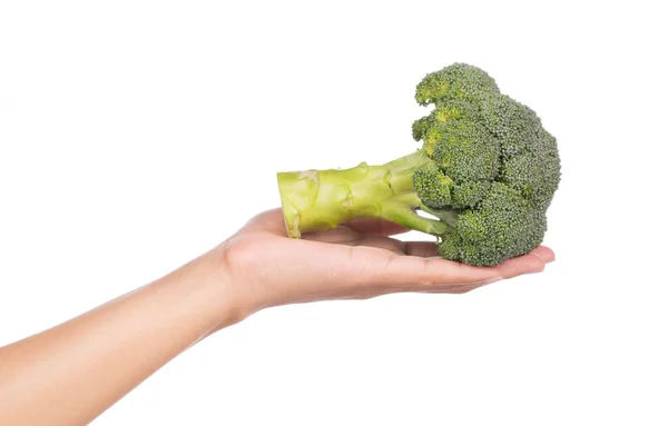 Tangan Memegang Broccoli Terisolasi Pada Latar Belakang Putih — Stok Foto