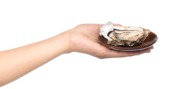 Trzymanie Ręki Świeża Ostryga Plasterkiem Cytryny Talerzu Izolowanym Białym Tle — Zdjęcie stockowe