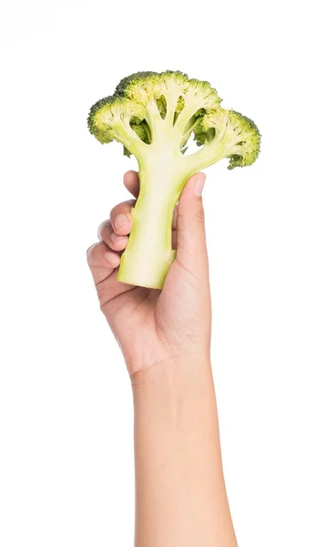 Ruční Držení Plátek Brokolice Izolované Bílém Pozadí — Stock fotografie