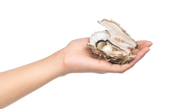 Hand Holding Oyster Pearl Isolated White Background — Stock Photo, Image