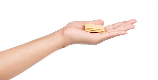 Hand Holding Biscuits Isolated White Background — Stock Photo, Image