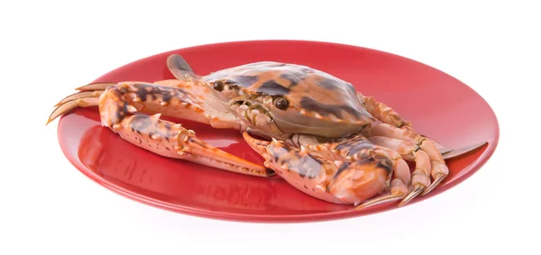Crabe Frais Sur Une Plaque Rouge Isolée Sur Fond Blanc — Photo