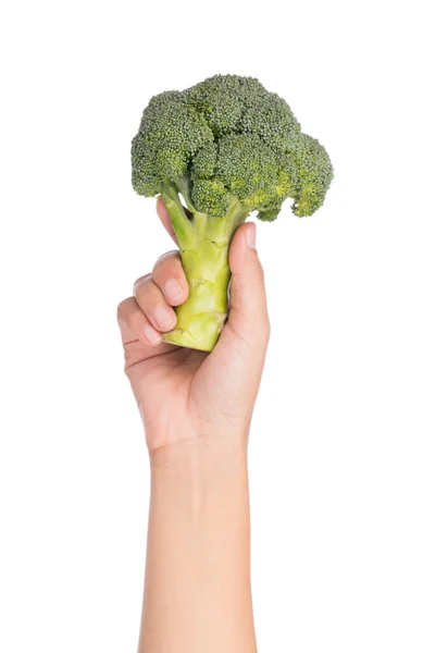Brokuły Izolowana Białym Tle Przytrzymanie Ręka — Zdjęcie stockowe