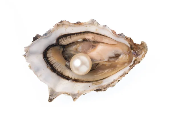 Open Oyster Pearl Isolated White Background Stock Photo