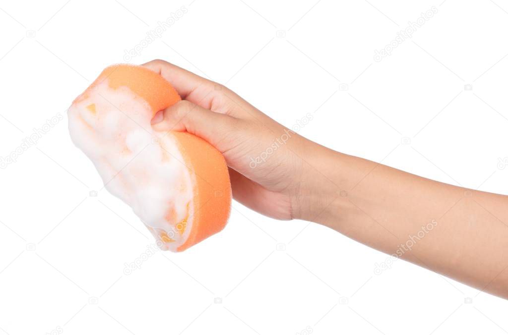 hand holding Orange sponge wet with foam isolated on white background.
