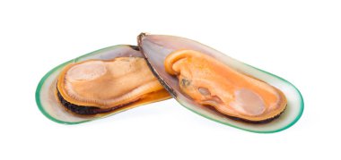 Beyaz arkaplanda izole edilmiş midyeler kaynatıldı