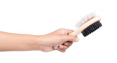 Beyaz arka planda izole edilmiş evcil hayvan bakımı için tarak..