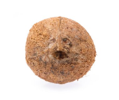 Hindistan cevizi beyaz arkaplanda izole edildi