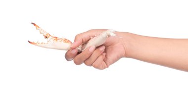 El ele tutuşan yengeç beyaz arkaplanda izole edildi