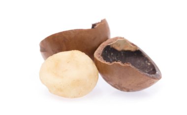 Macadamia beyaz arkaplanda izole edildi.