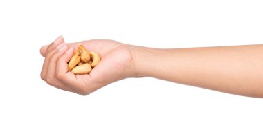 El ele tutuşmuş fındık tohumları beyaz arka planda izole edilmiş.