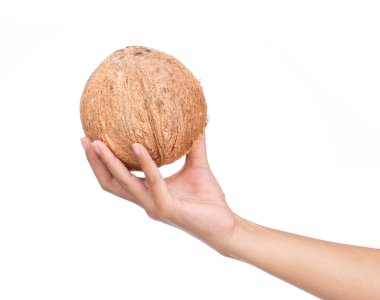 Hindistan cevizi tutarken Eski kahverengi beyaz arka planda izole