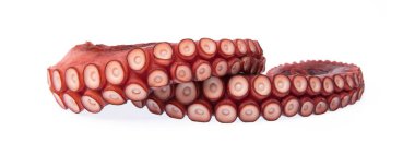 Beyaz arka plan üzerinde izole ahtapot tentacles