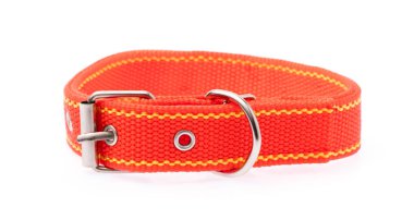 Beyaz arka planda izole edilmiş köpek tasması