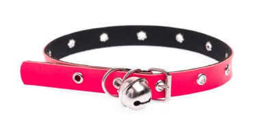 Beyaz arka planda izole edilmiş kırmızı deri köpek tasması