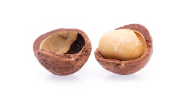 Macadamia fındığı beyaz arkaplanda izole edildi.