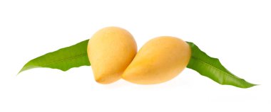 Mango meyve ile izole üzerinde beyaz arka plan bırakır 