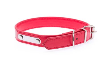 Beyaz bir arka plan üzerinde izole kırmızı köpek tasması