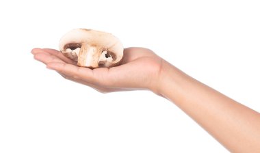 El ele tutuşan portobello mantarları, beyaz arka planda izole edilmiş..