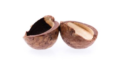 Macadamia fındığı beyaz arkaplanda izole edildi.