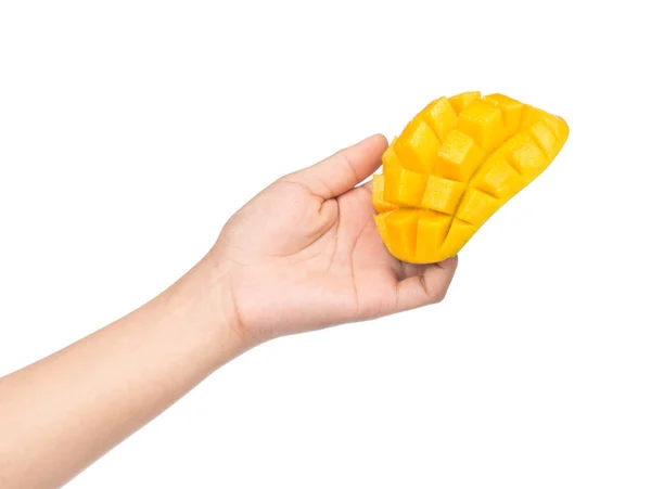 Hand Hålla Skiva Mango Isolerad Vit Bakgrund — Stockfoto