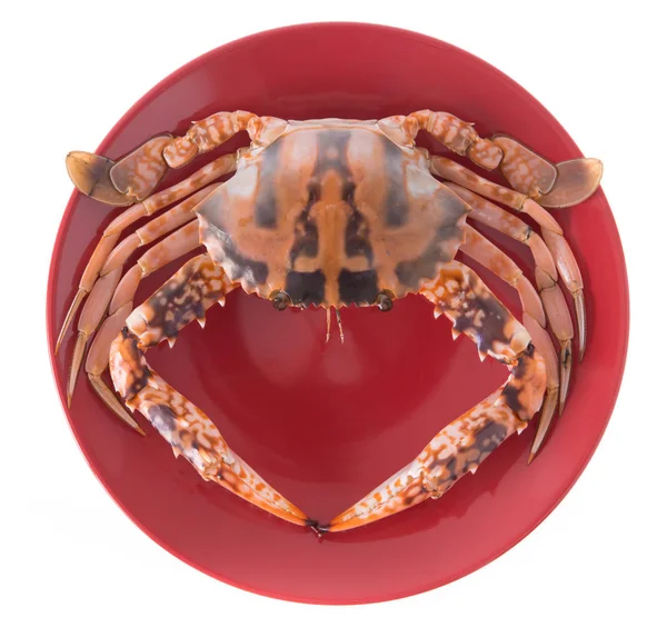 红盘上的新鲜螃蟹 白色背景隔离 — 图库照片