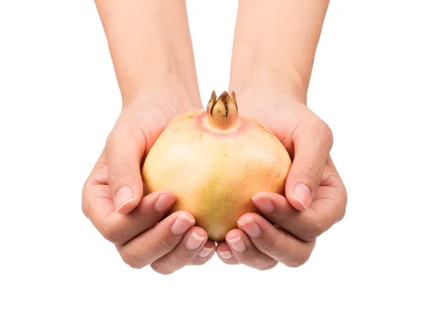 Mano Sosteniendo Granadas Fruta Aislada Sobre Fondo Blanco —  Fotos de Stock