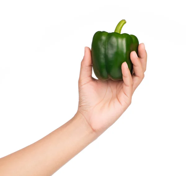 Mano Sosteniendo Pimiento Verde Aislado Sobre Fondo Blanco — Foto de Stock