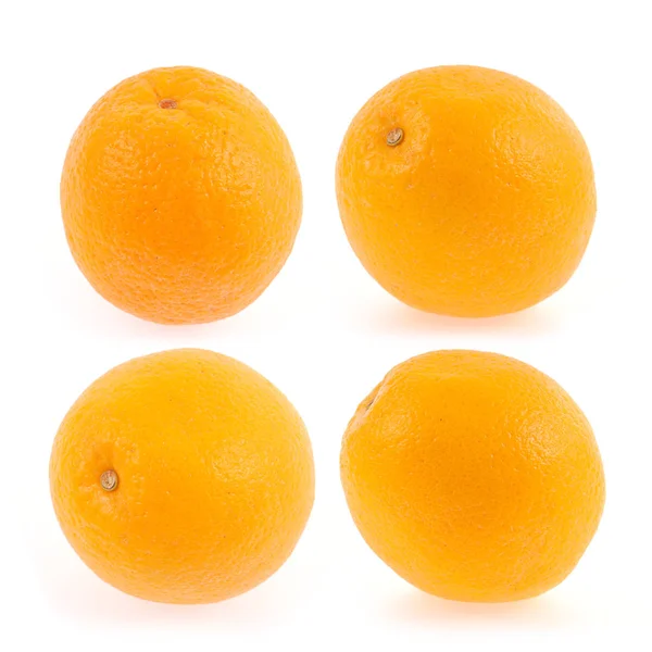 Raccolta Frutti Arancioni Isolato Sfondo Bianco — Foto Stock