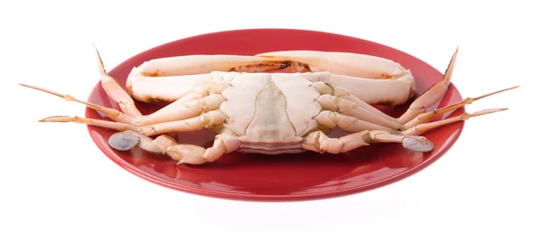 Crabe Frais Sur Une Plaque Rouge Isolée Sur Fond Blanc — Photo