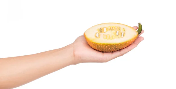 Mano Tenendo Sweet Gourd Isolato Sfondo Bianco — Foto Stock