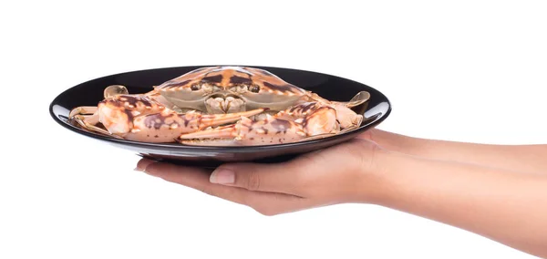 Main Tenant Crabe Cuit Préparé Sur Plaque Isolée Sur Fond — Photo