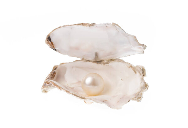 Open oyster with pearl isolated on white background